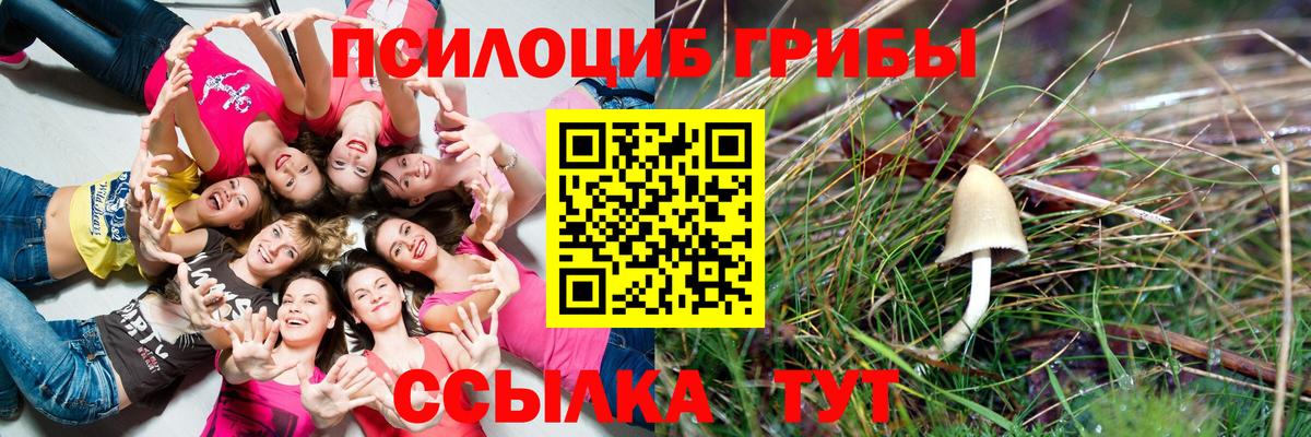 Петрозаводск  закладки  Галлюциногенные грибы ЛСД  Вход с VPN  Галлюциногенные грибы ЛСД 