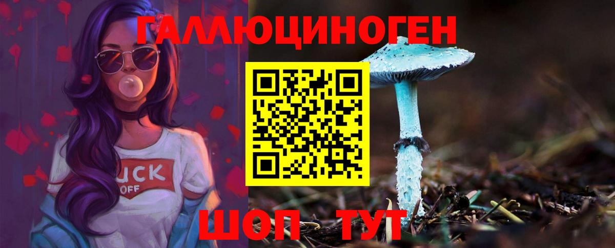 Псилоцибиновые грибы MAGIC MUSHROOMS Петрозаводск